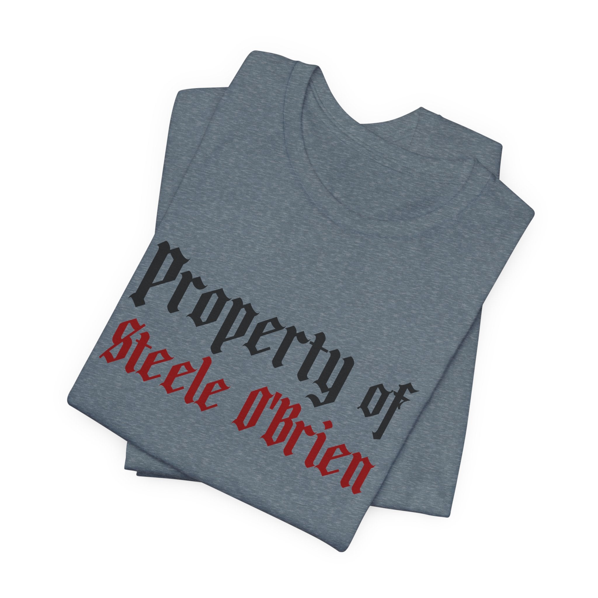 Devious Obsession's "Property of Steele O'Brien" T-Shirt