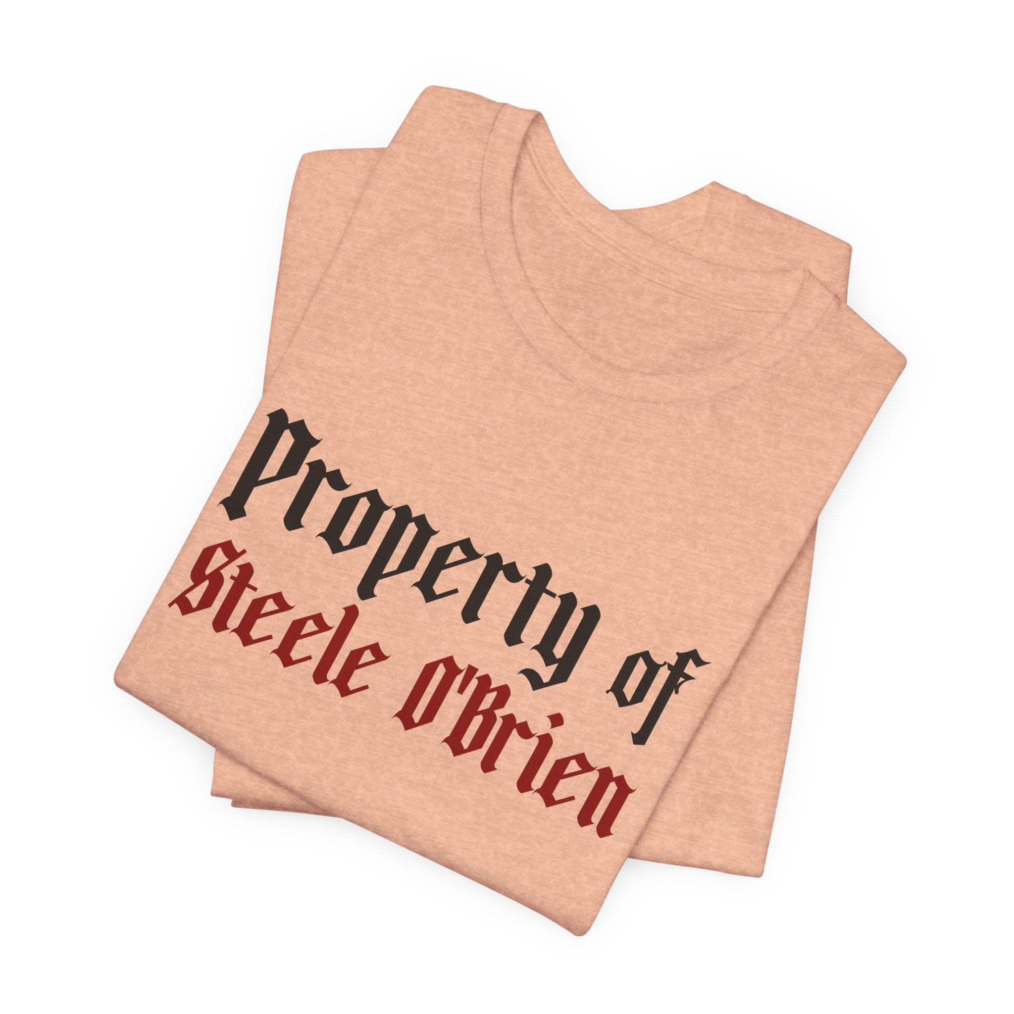 Devious Obsession's "Property of Steele O'Brien" T-Shirt