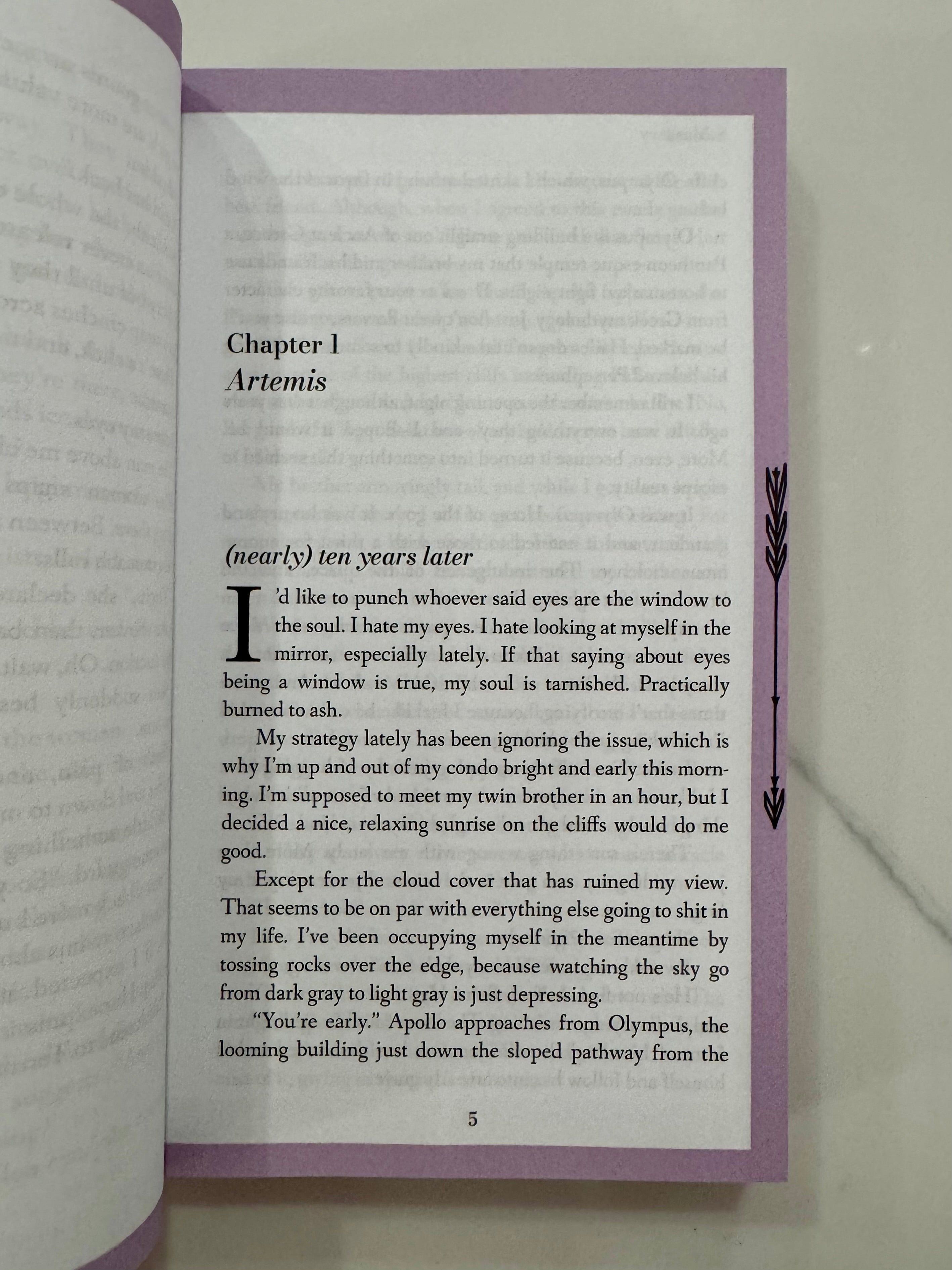 Sterling Falls Rogues Bundle - Special Edition Paperbacks